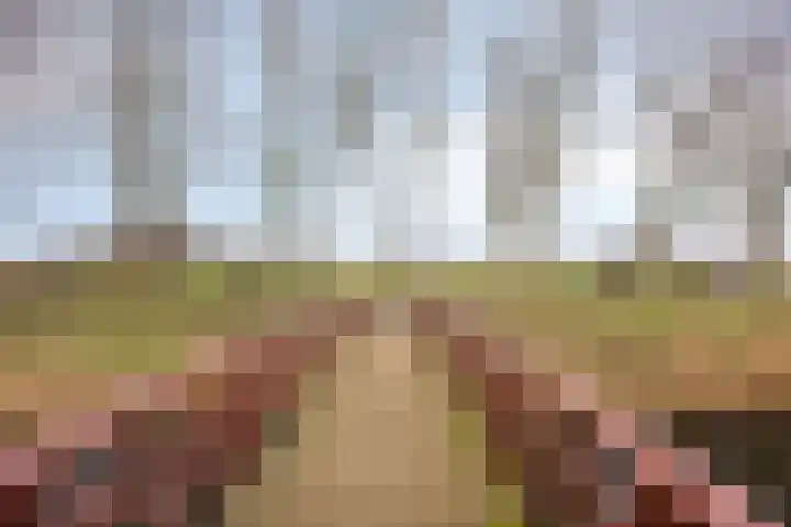 Bronforel 16 Leiden thumbnail 48