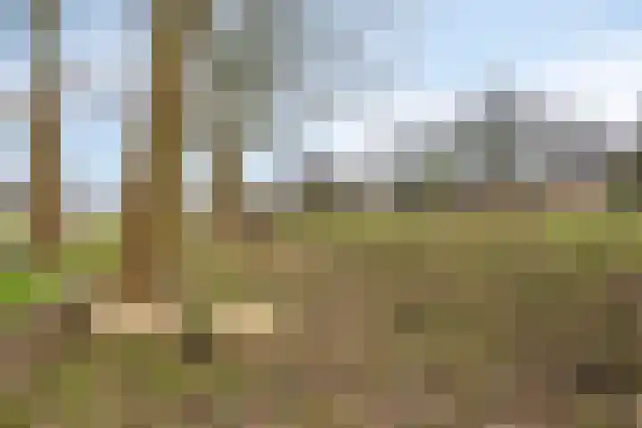 Bronforel 16 Leiden thumbnail 49
