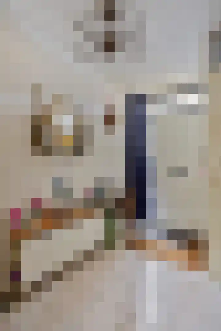 Bronforel 16 Leiden thumbnail 5