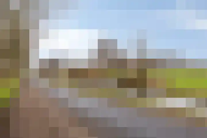 Bronforel 16 Leiden thumbnail 50