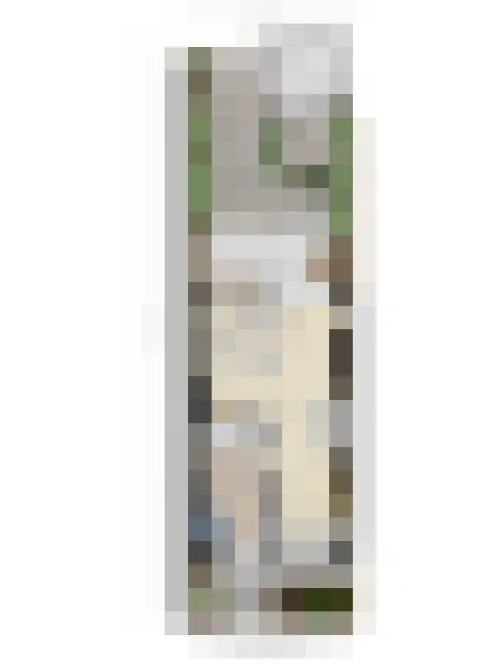 Bronforel 16 Leiden thumbnail 51