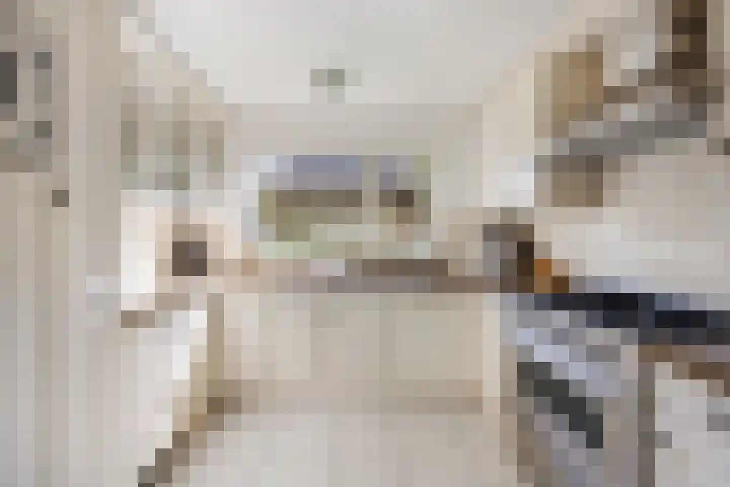 Bronforel 26 Leiden thumbnail 11