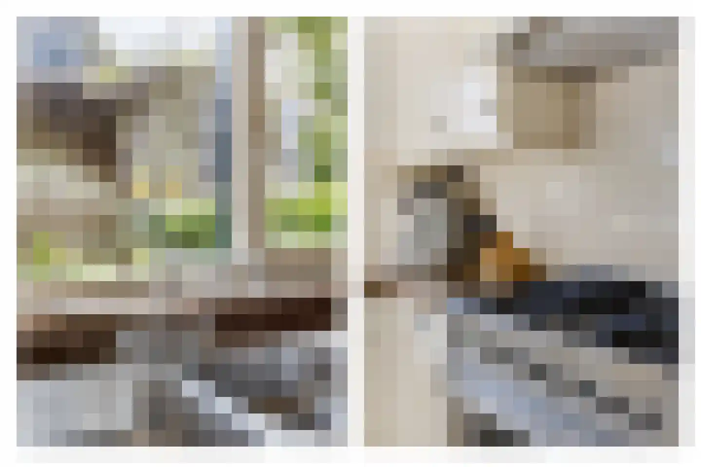 Bronforel 26 Leiden thumbnail 12
