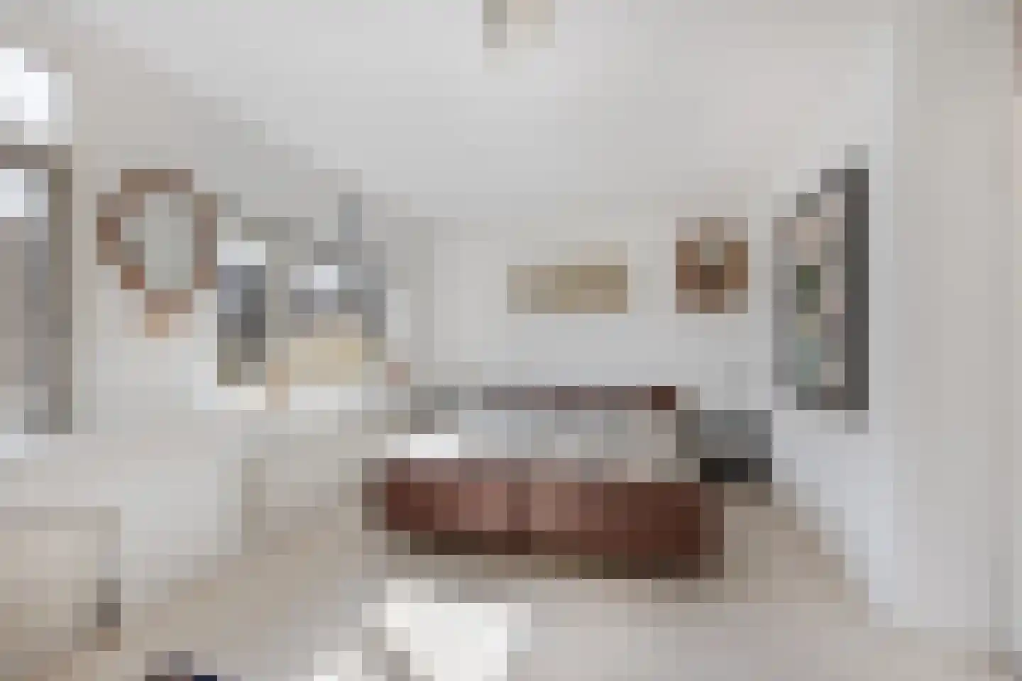 Bronforel 26 Leiden thumbnail 15