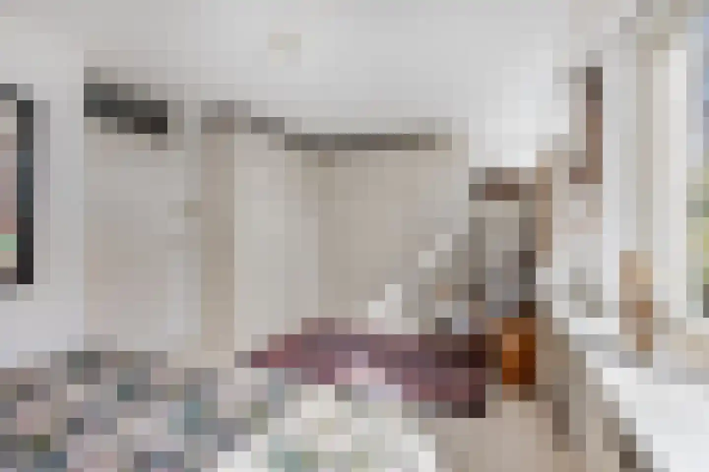 Bronforel 26 Leiden thumbnail 16