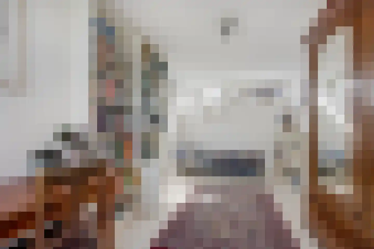 Bronforel 26 Leiden thumbnail 17