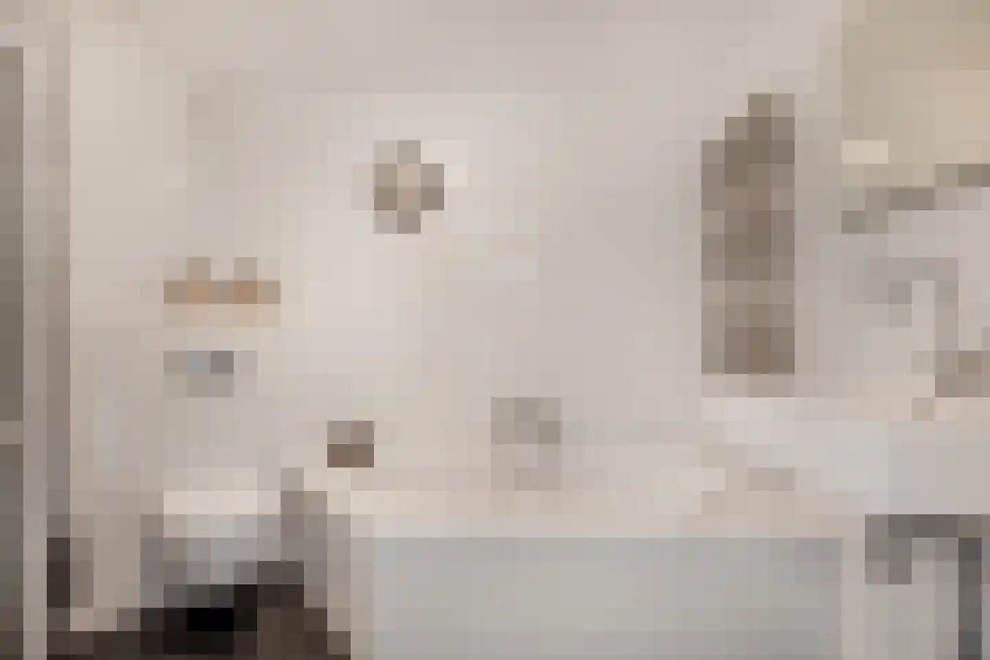 Bronforel 26 Leiden thumbnail 21