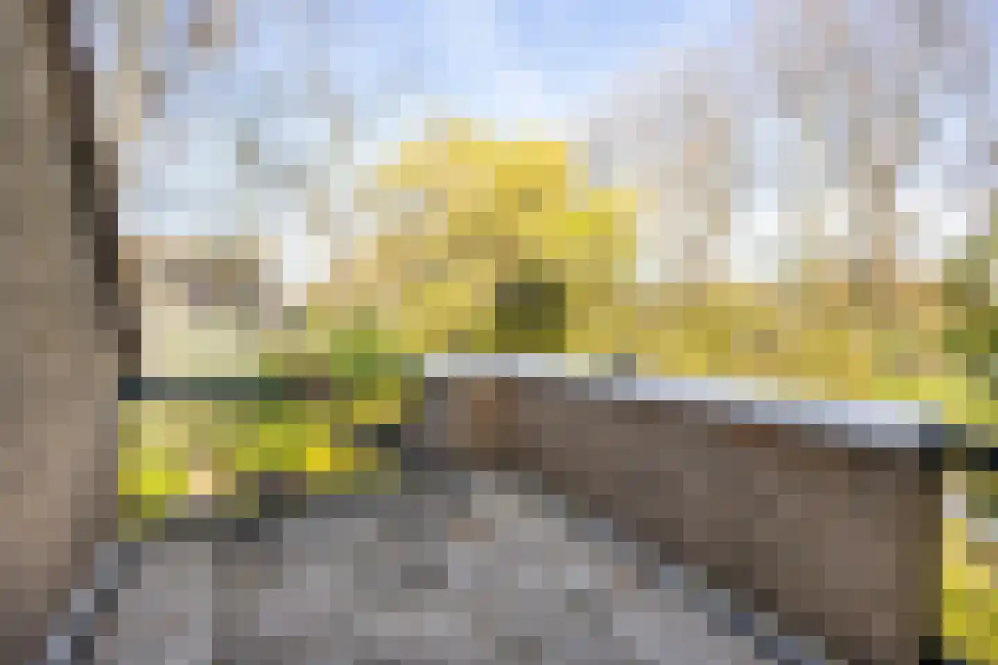 Bronforel 26 Leiden thumbnail 23