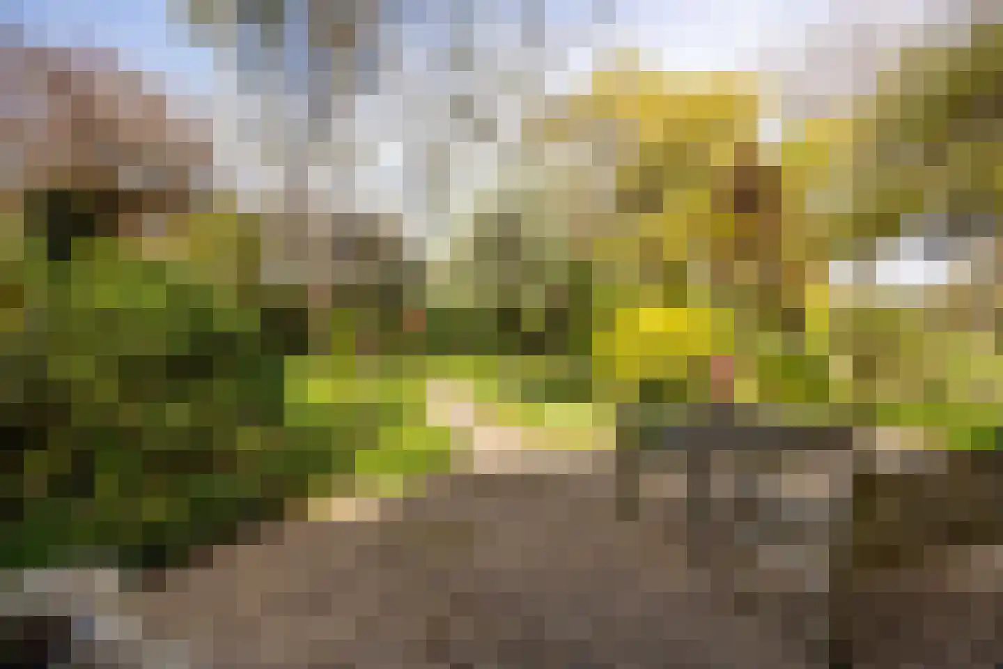 Bronforel 26 Leiden thumbnail 26