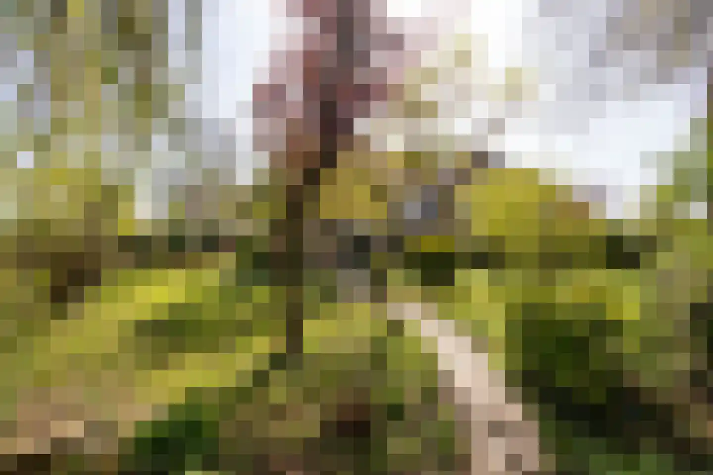 Bronforel 26 Leiden thumbnail 28