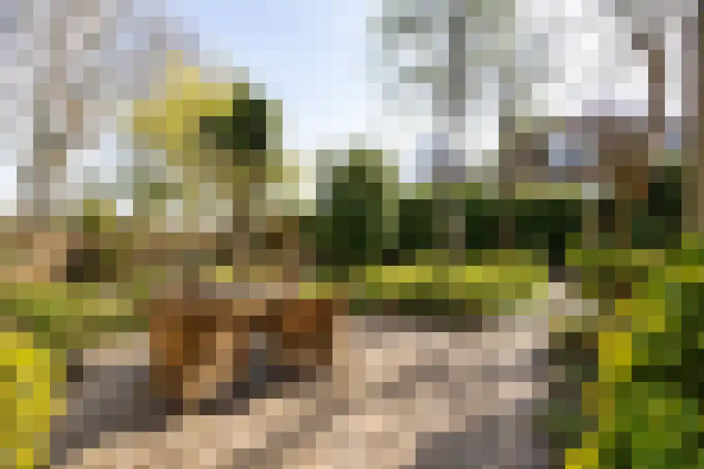 Bronforel 26 Leiden thumbnail 29