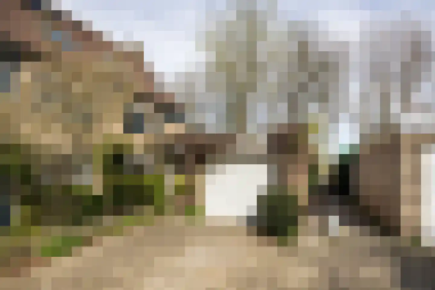 Bronforel 26 Leiden thumbnail 31