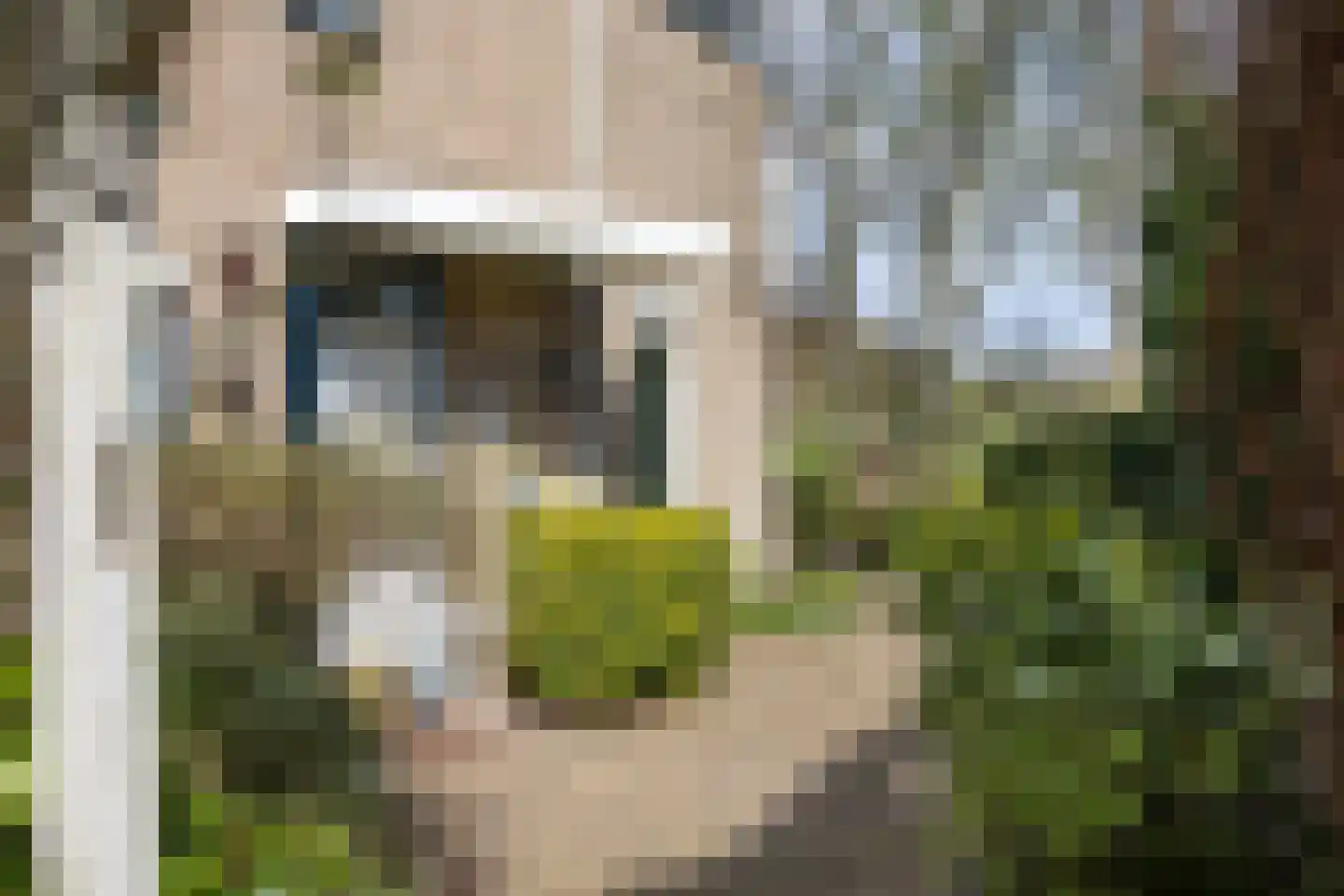 Bronforel 26 Leiden thumbnail 32
