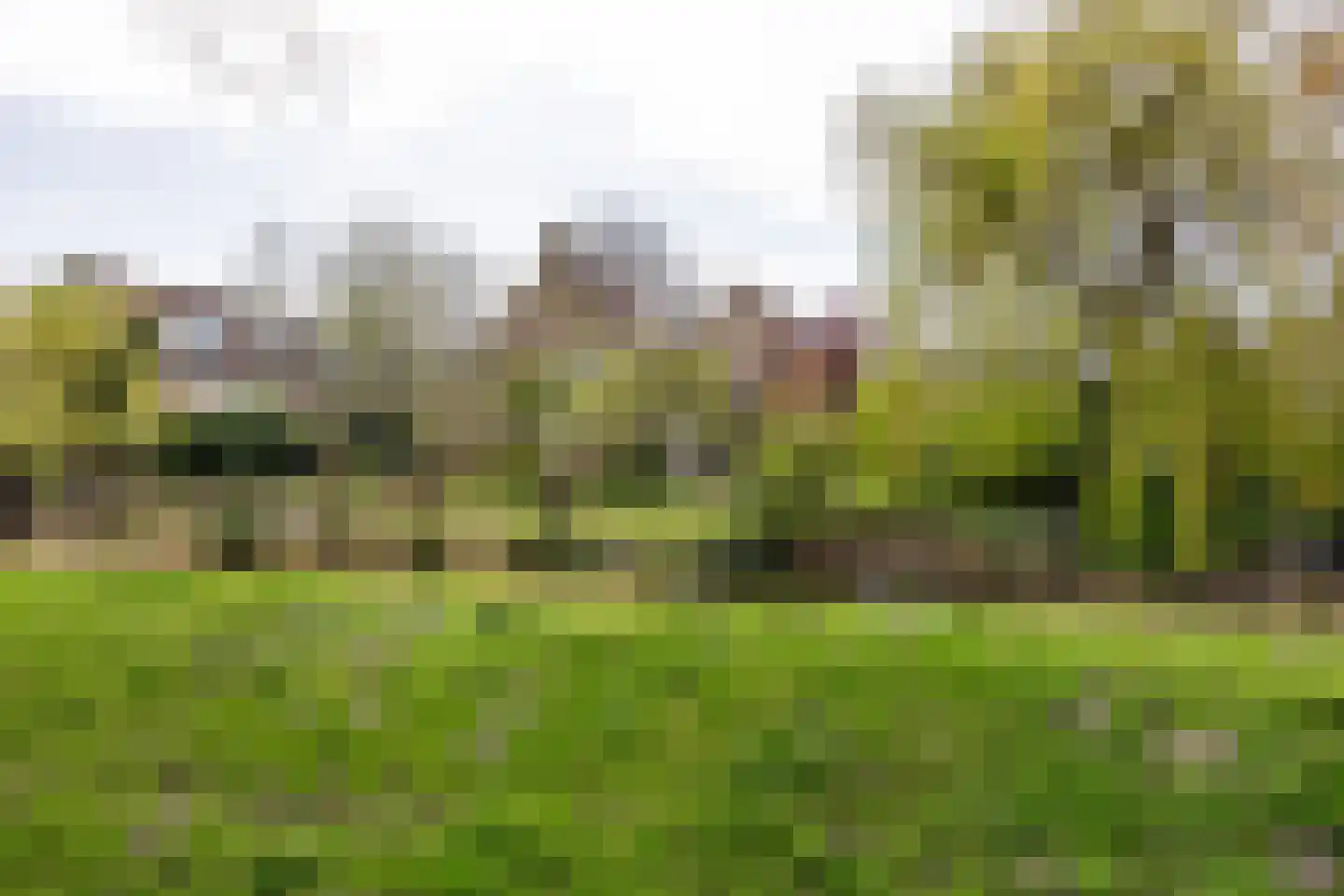 Bronforel 26 Leiden thumbnail 33