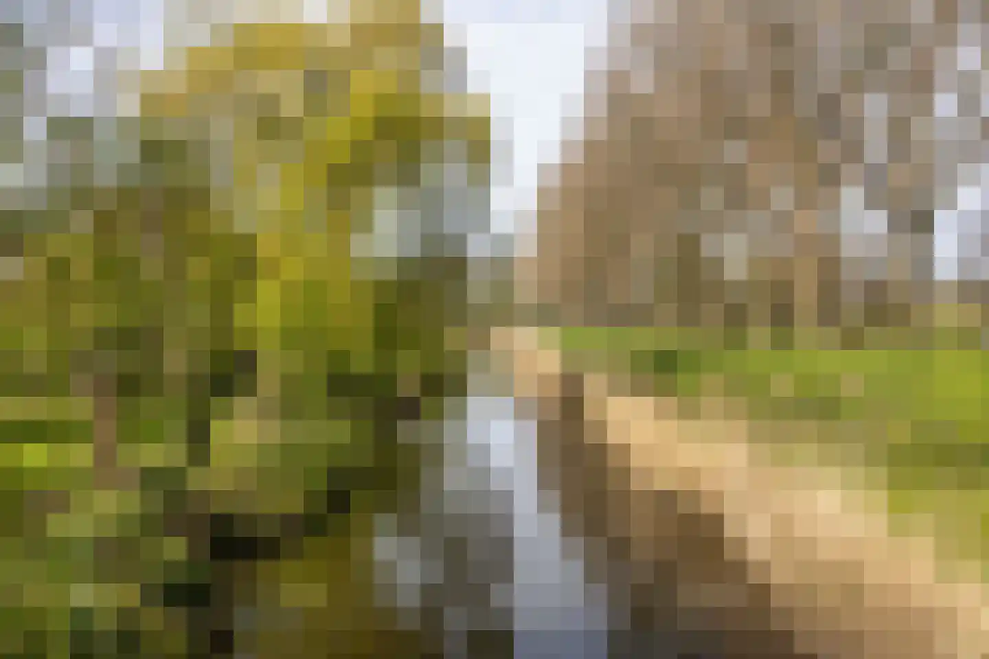 Bronforel 26 Leiden thumbnail 34