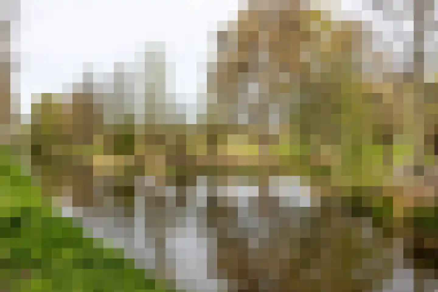 Bronforel 26 Leiden thumbnail 35