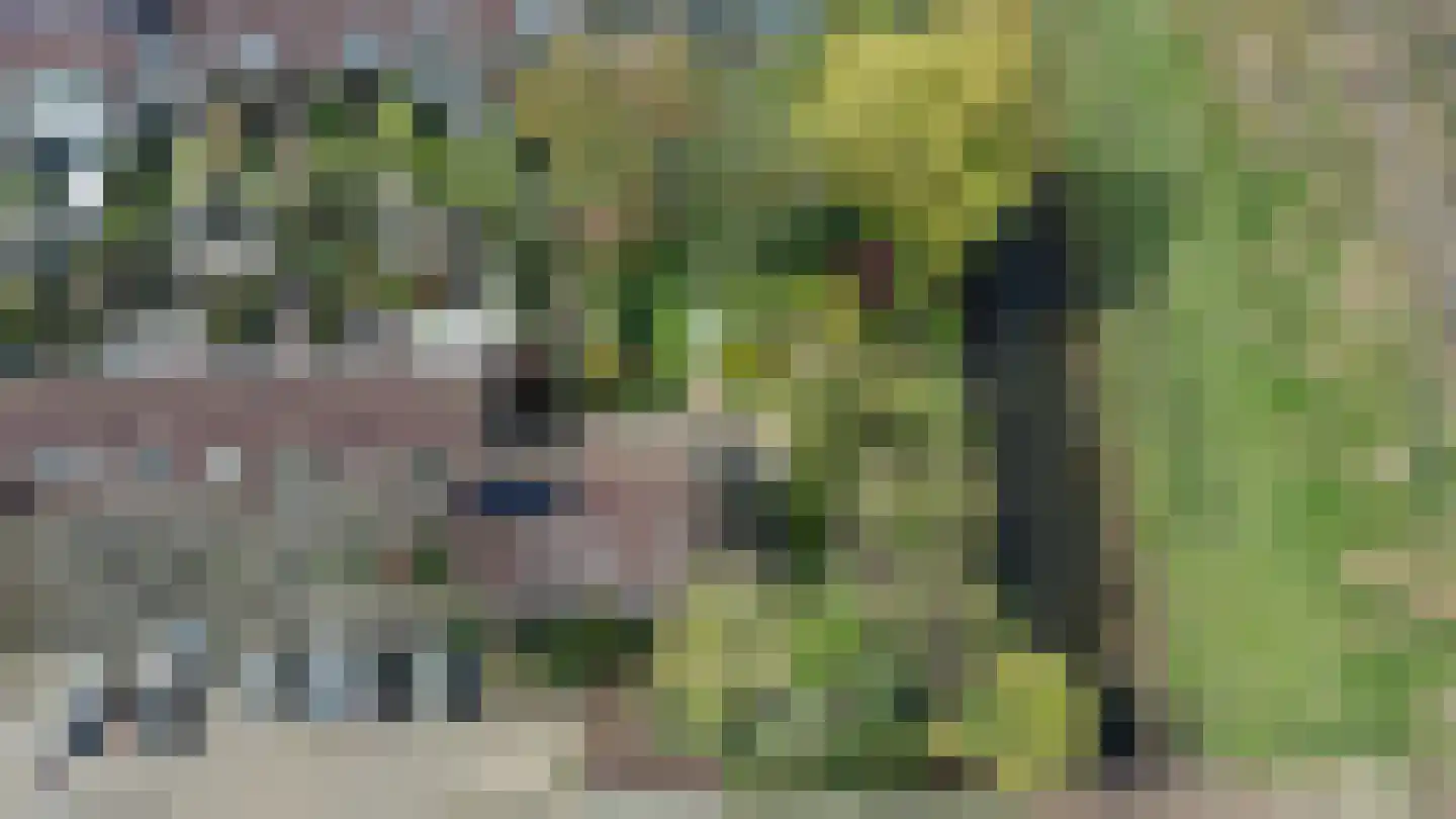 Bronforel 26 Leiden thumbnail 36