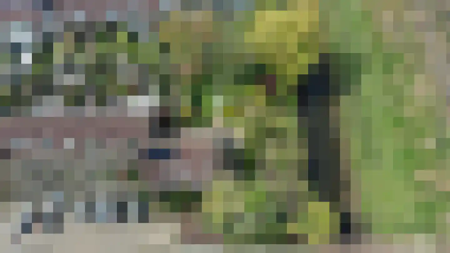 Bronforel 26 Leiden thumbnail 37