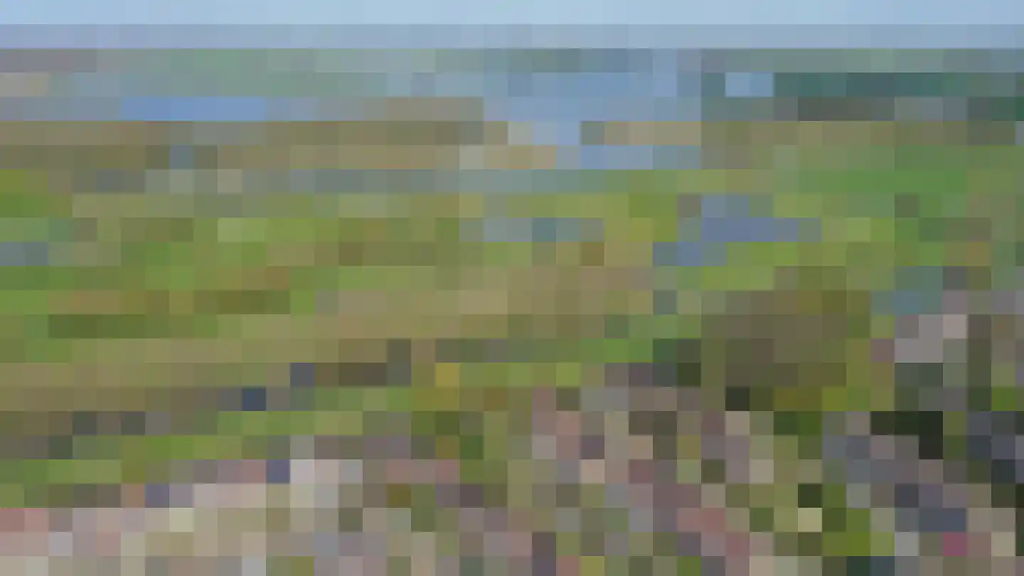 Bronforel 26 Leiden thumbnail 38