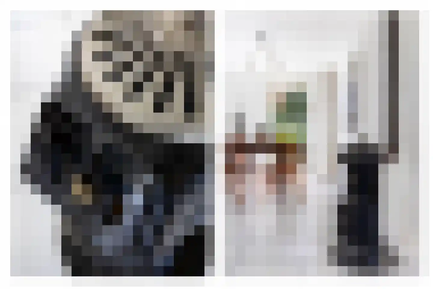 Bronforel 26 Leiden thumbnail 8