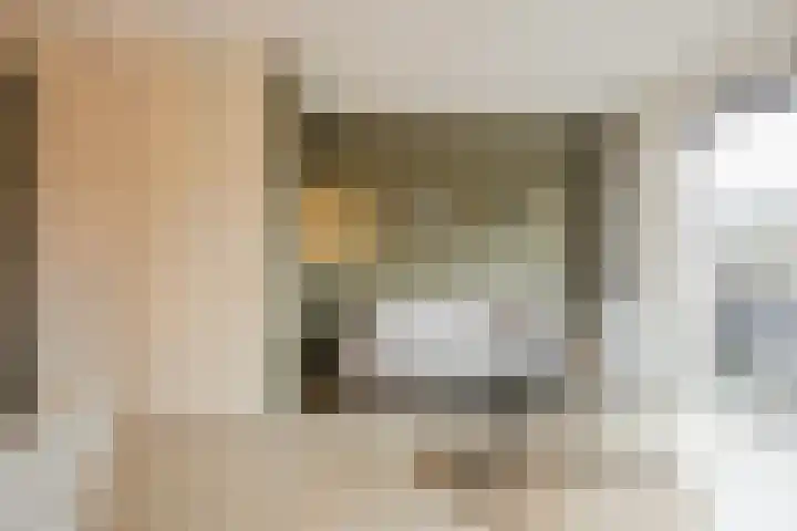 Bronforel 5 Nieuwleusen thumbnail 10