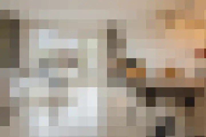Bronforel 5 Nieuwleusen thumbnail 11
