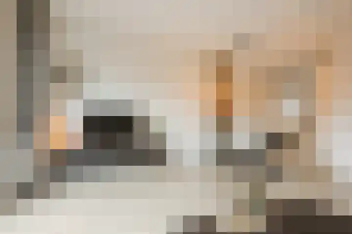 Bronforel 5 Nieuwleusen thumbnail 13