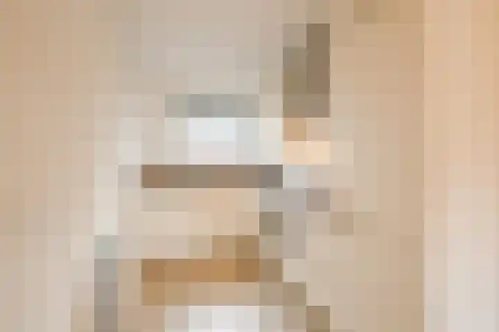 Bronforel 5 Nieuwleusen thumbnail 16