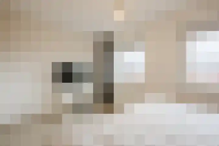 Bronforel 5 Nieuwleusen thumbnail 21