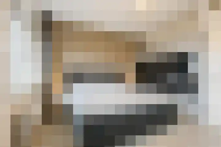 Bronforel 5 Nieuwleusen thumbnail 23