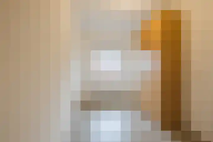 Bronforel 5 Nieuwleusen thumbnail 24