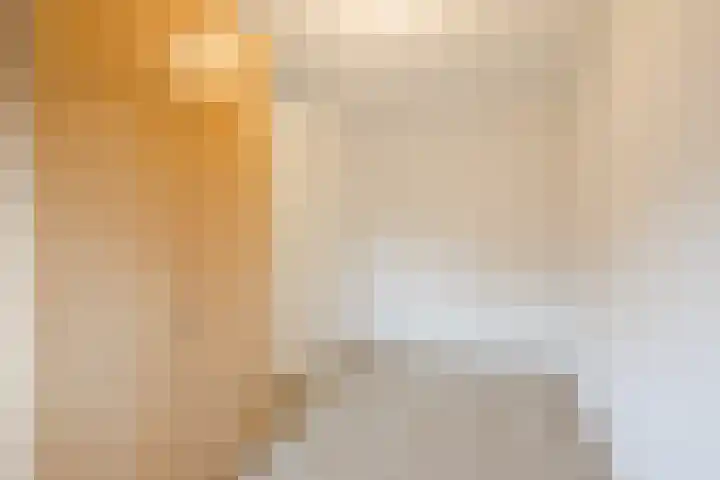 Bronforel 5 Nieuwleusen thumbnail 25