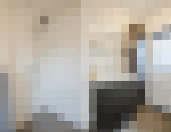 Bronforel 5 Nieuwleusen thumbnail 28