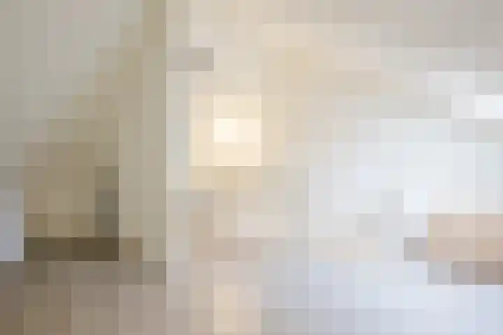 Bronforel 5 Nieuwleusen thumbnail 31
