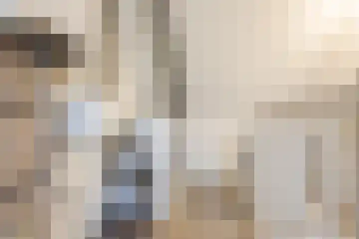 Bronforel 5 Nieuwleusen thumbnail 34