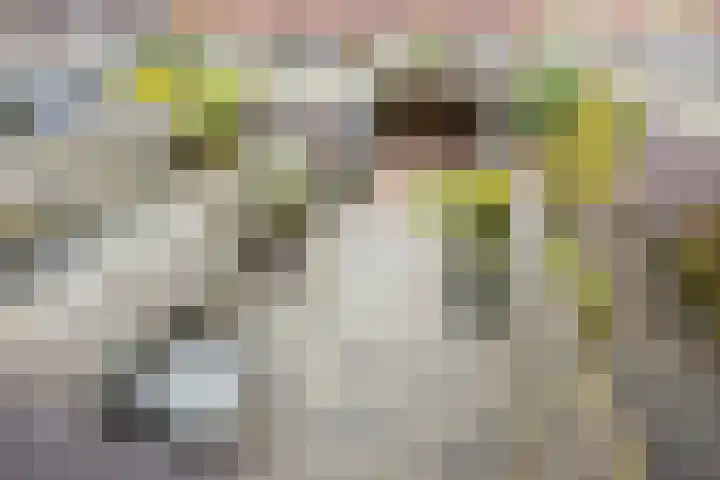 Bronforel 5 Nieuwleusen thumbnail 36
