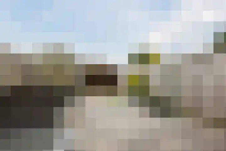 Bronforel 5 Nieuwleusen thumbnail 37