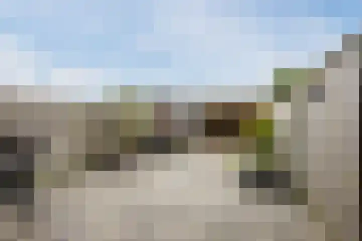 Bronforel 5 Nieuwleusen thumbnail 38