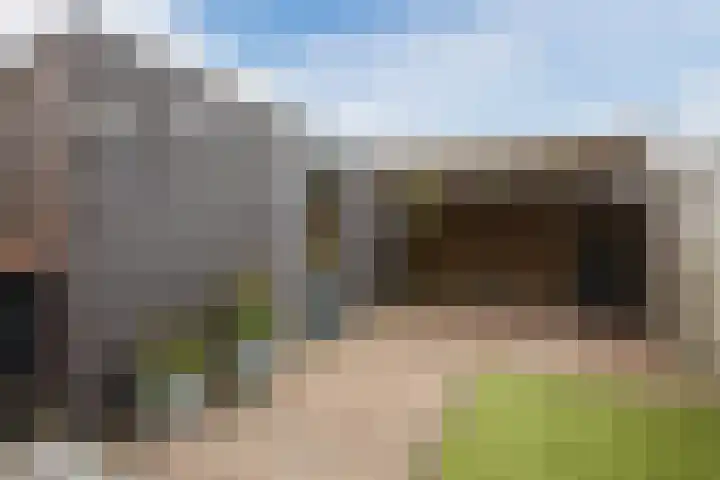 Bronforel 5 Nieuwleusen thumbnail 39