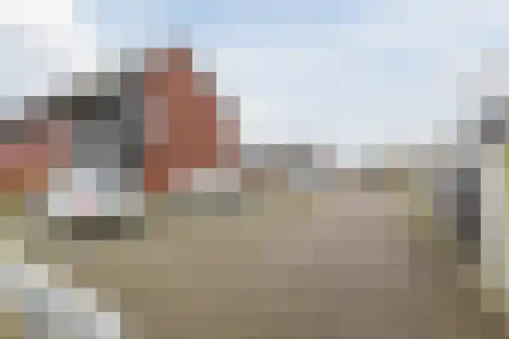 Bronforel 5 Nieuwleusen thumbnail 4