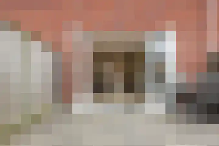 Bronforel 5 Nieuwleusen thumbnail 41
