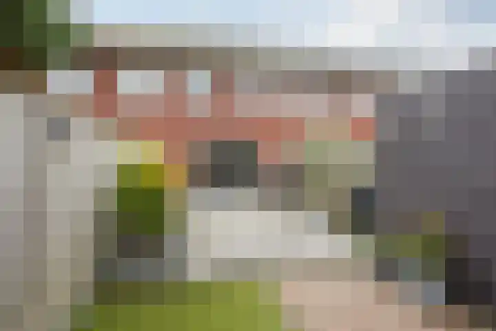 Bronforel 5 Nieuwleusen thumbnail 42