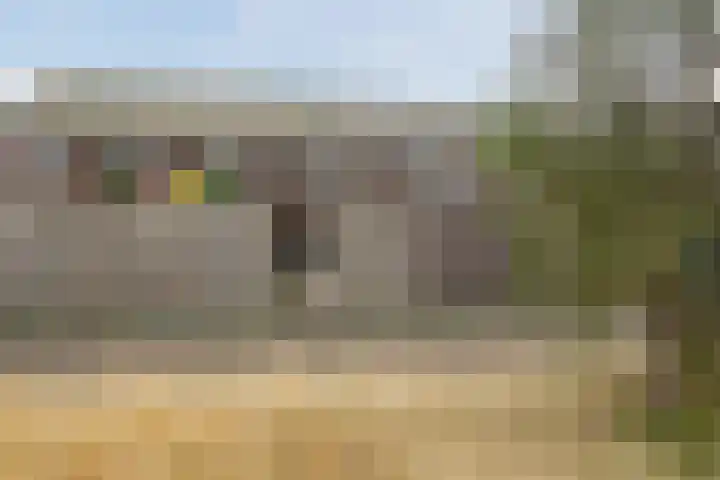Bronforel 5 Nieuwleusen thumbnail 44