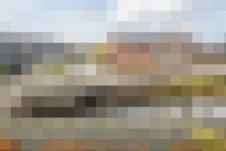 Bronforel 5 Nieuwleusen thumbnail 46
