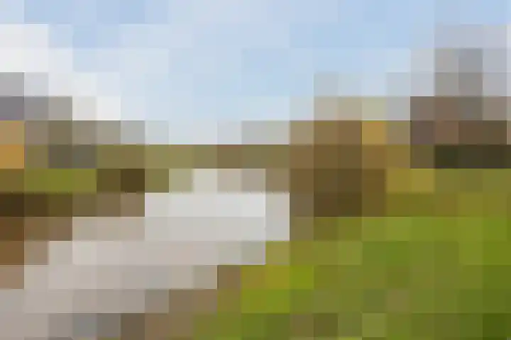 Bronforel 5 Nieuwleusen thumbnail 47