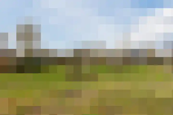 Bronforel 5 Nieuwleusen thumbnail 48
