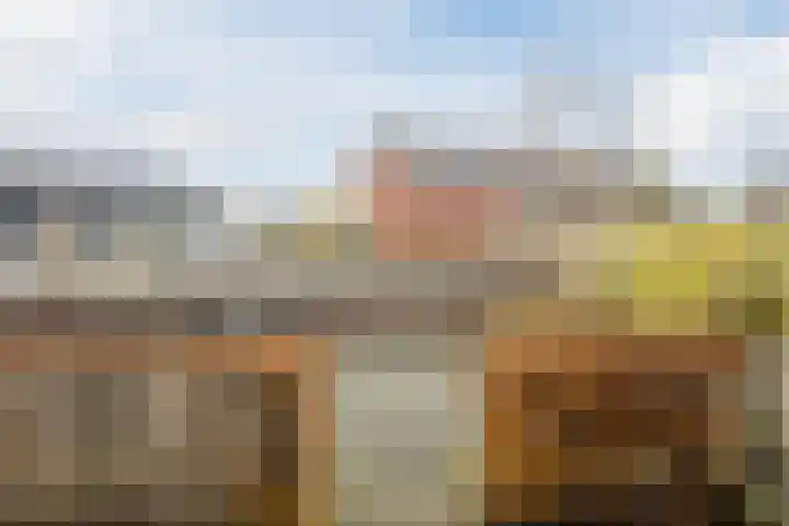 Bronforel 5 Nieuwleusen thumbnail 5
