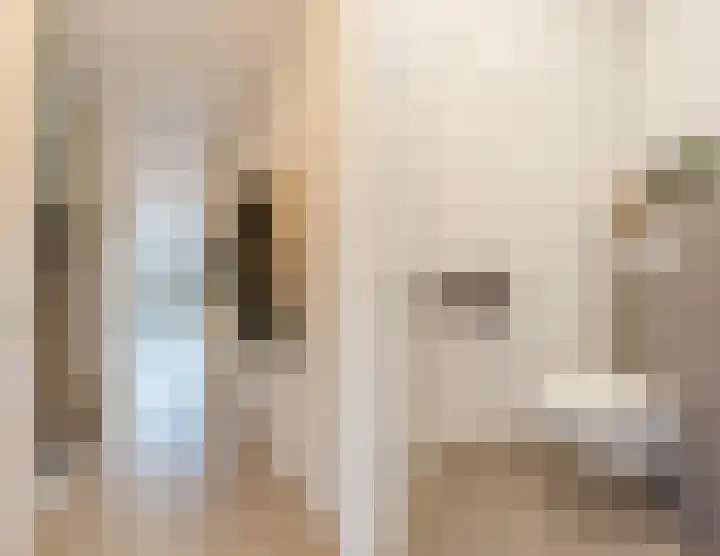 Bronforel 5 Nieuwleusen thumbnail 8