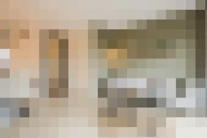 Bronforel 5 Nieuwleusen thumbnail 9