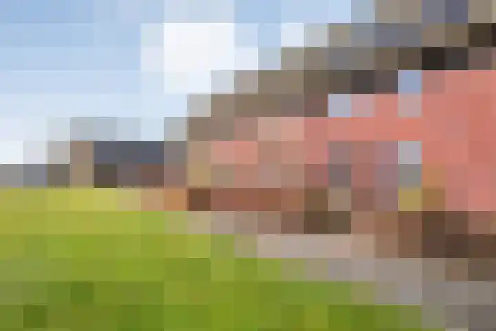 Bronforel 8 Nieuwleusen thumbnail 10
